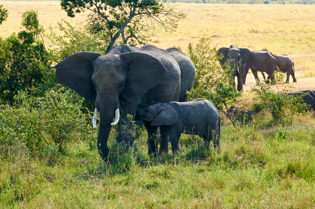 Caring mother